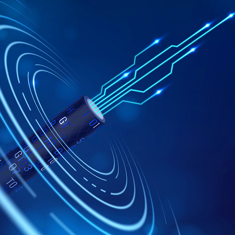 Lianou Electric, 국제 전기 박람회에서 혁신적인 제품 선보이며 친환경 트렌드 선도